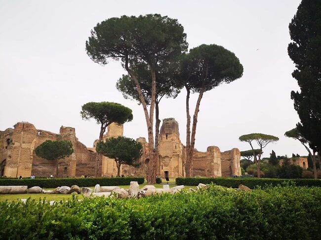 baths of Caracalla rome with umbrella pines