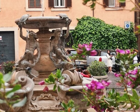 Rome Fountain Piazza Mattei