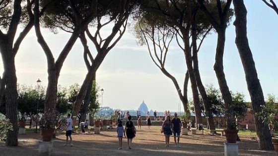 Rome orange garden terrace with pine trees framing St Peter'd dome in the distance at sunset