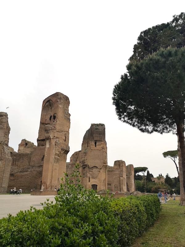 Main complex in baths of Caracalla Rome with pine tree in the foreground