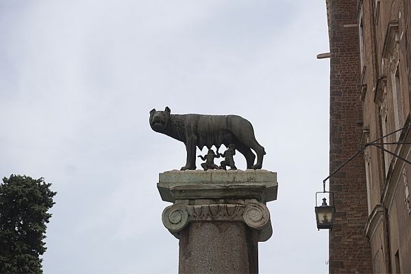 Replica of the Capitoline wolf in Rome, on top of a Column in Piazza del Campidoglio, Rome, Italy