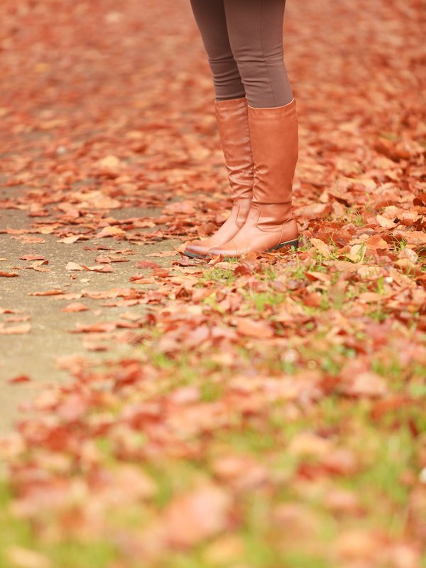 Close up of brown boots with fall leaves 