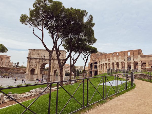 Rome Colosseum and ancient arch with pine tree