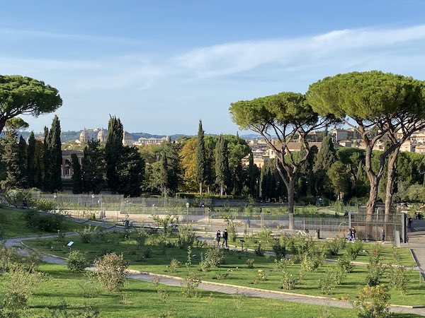 View of pretty public garden in Rome with umbrella pines and church domes in the background